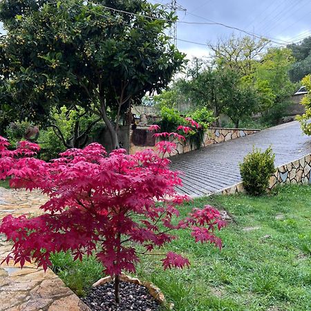 Appartamento Perondi Berat Kuçovë Esterno foto