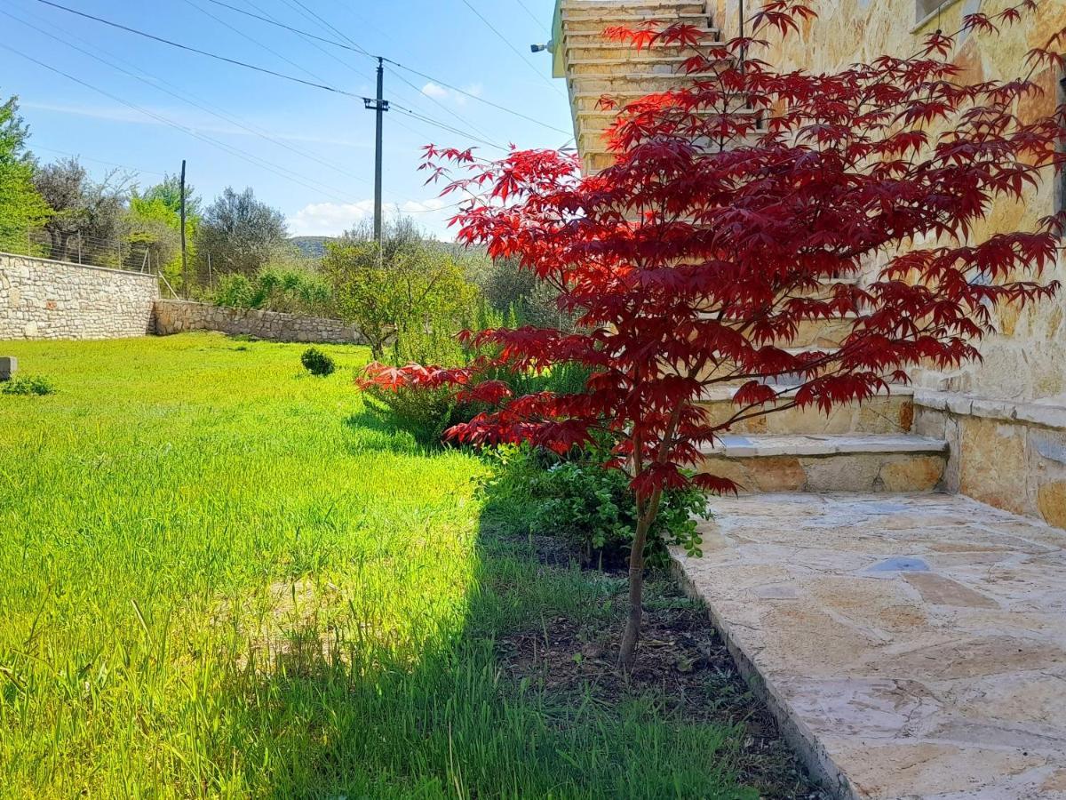 Appartamento Perondi Berat Kuçovë Esterno foto