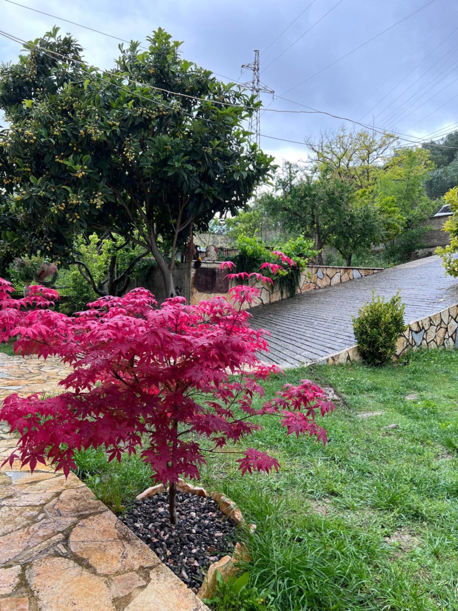 Appartamento Perondi Berat Kuçovë Esterno foto